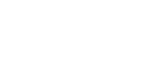 The Chronicle